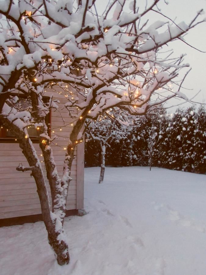 Дома для отпуска White Cottage Друскининкай